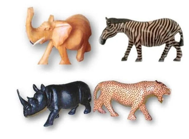 Animals