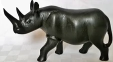 Rhino